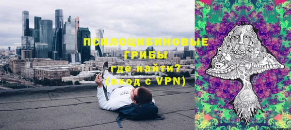 шишки Балахна