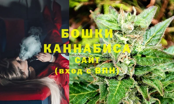 шишки Балахна