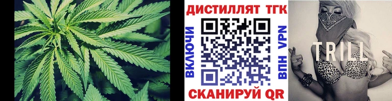 ТГК THC oil цена Моршанск