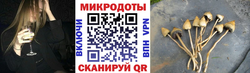 Галлюциногенные грибы Cubensis  Моршанск 