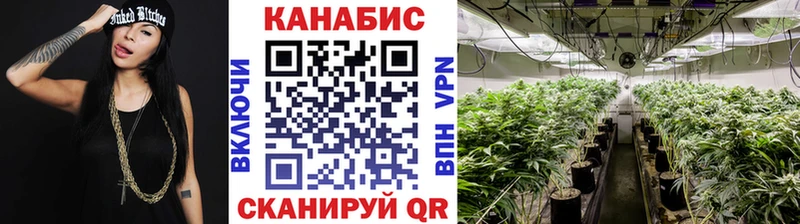 Марихуана White Widow  наркошоп  Моршанск 